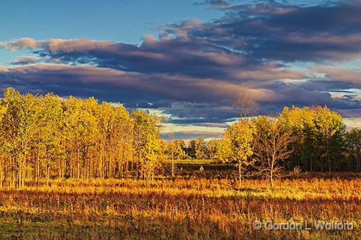 Sunset Landscape_28171.jpg - Photographed near Smiths Falls, Ontario, Canada.